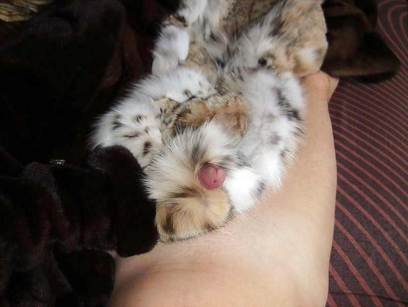 20P Amateur handjob, blowjob and fur fuck