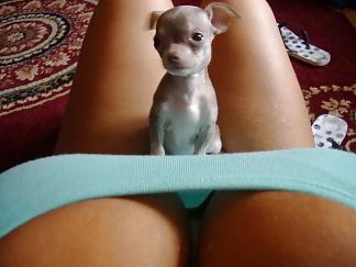 25P Young Hot Big Titted Amateur Brunette