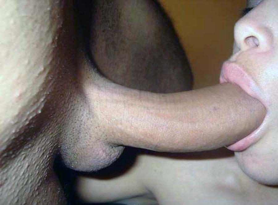 16P Photos of cocksucking amateur chicks 