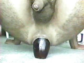 25P Anal insertion (male)