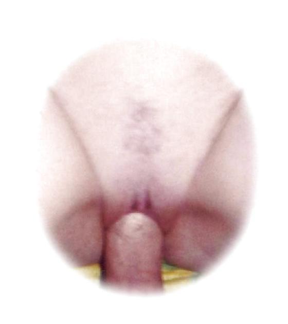19P Homemade amateur pics - Compilation amateur pics...