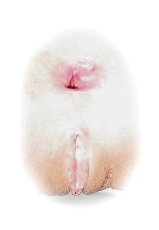 19P Homemade amateur pics - Compilation amateur pics...