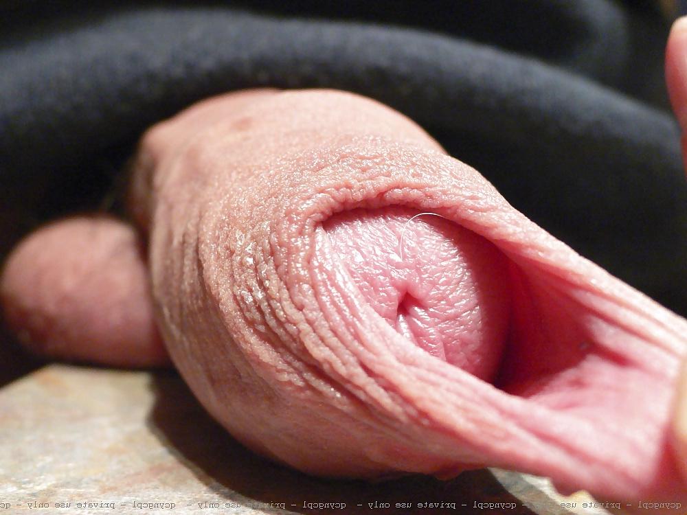 16P Amateur Homemade Porn - QcYngCpl 5