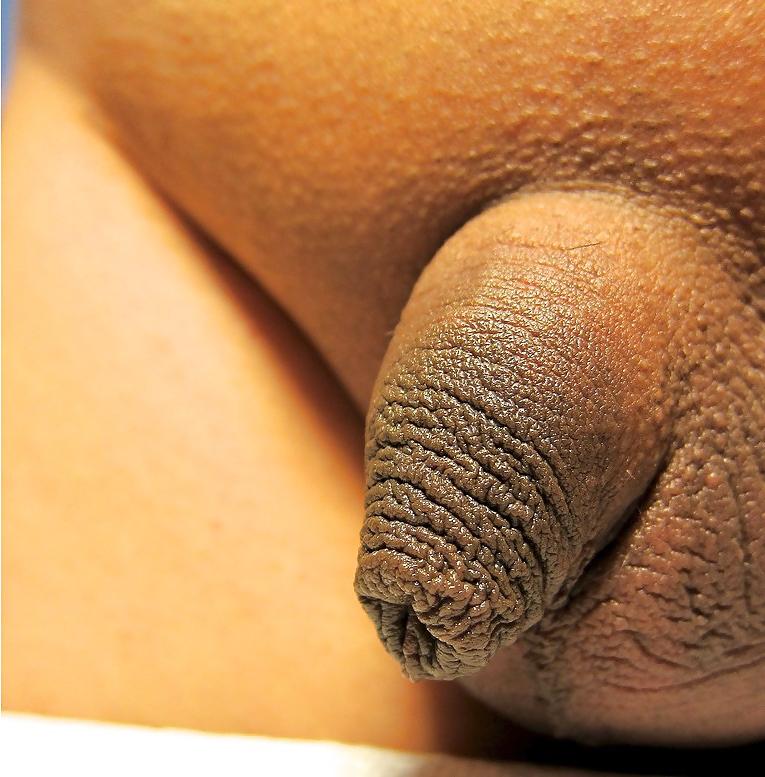 12P Black men do have SMALL dicks