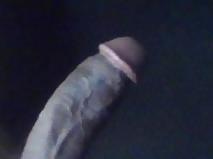 4P Just Me