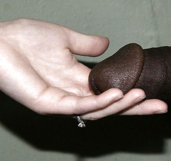 25P Interracial Porn 