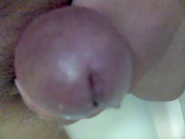 7P My pics 