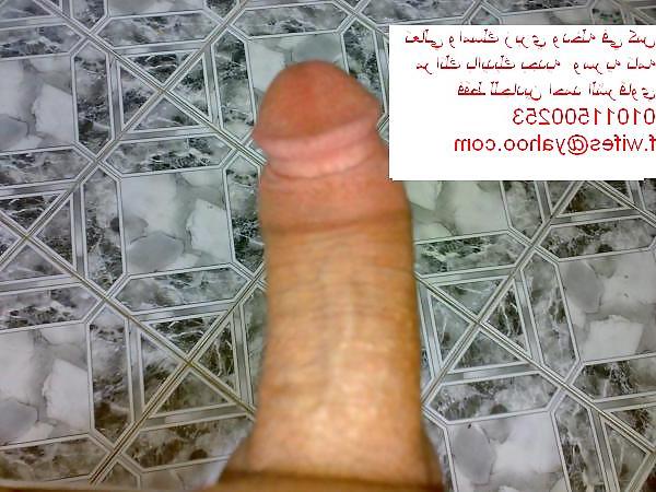 6P My arab cock 4 all wives and all cuckolds 00201011500253
