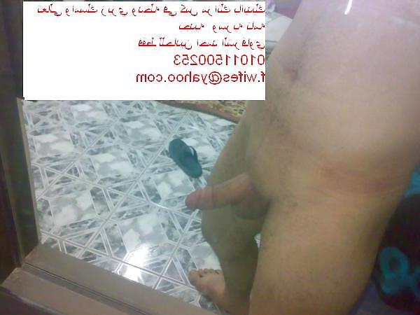 6P My arab cock 4 all wives and all cuckolds 00201011500253