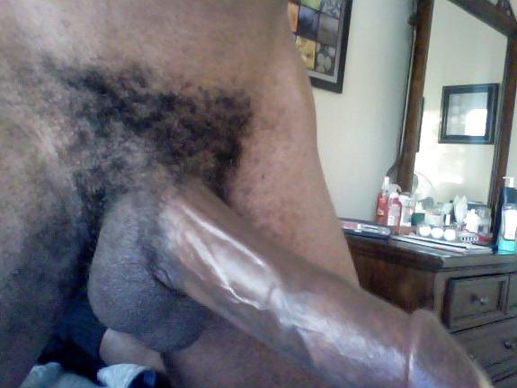 9P Dutch black 2