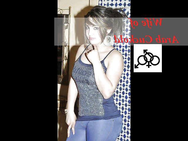 7P Arab sexy wives for BBC