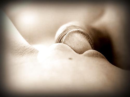 10P Sexart