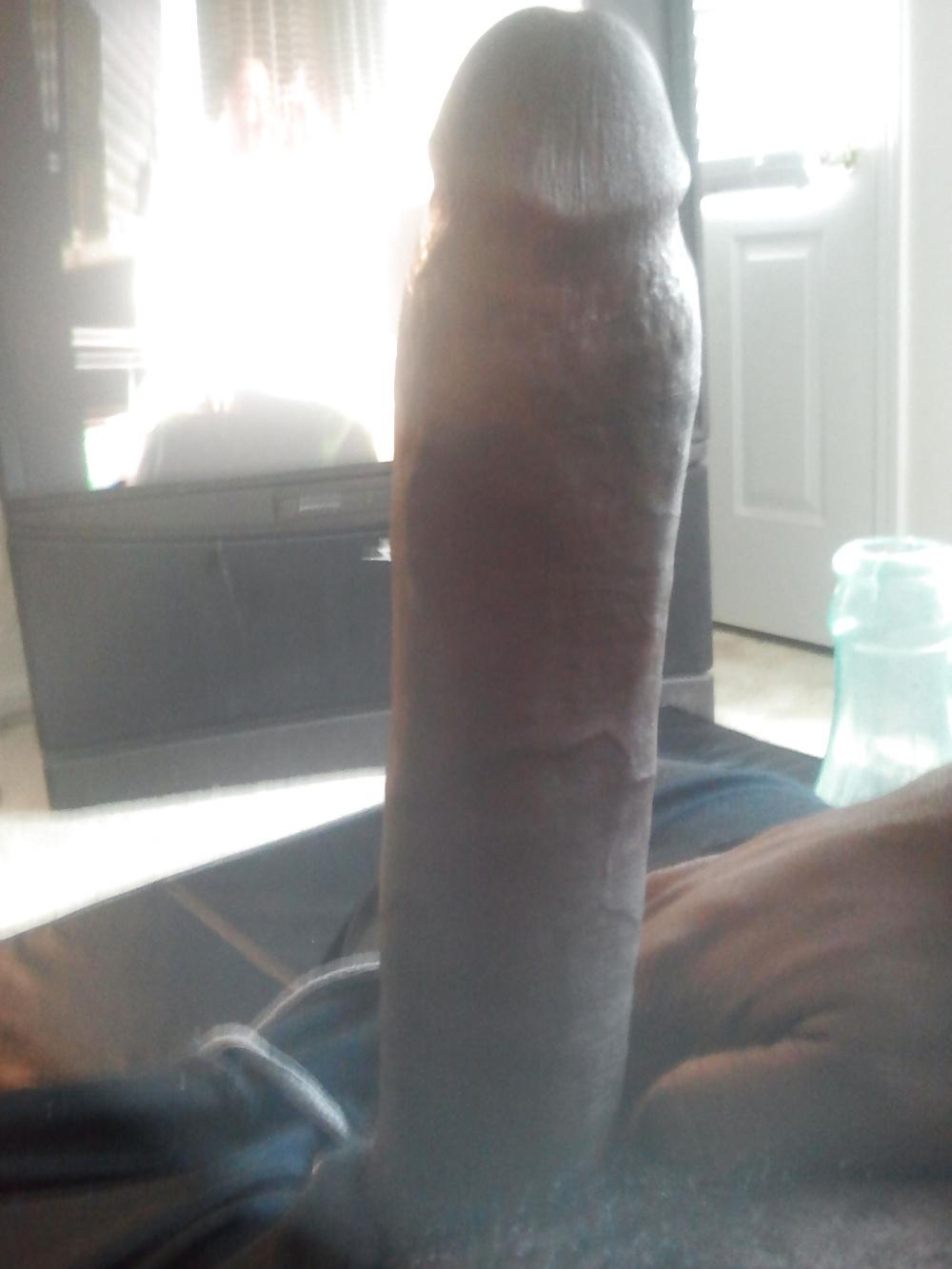 5P MY PUSSY POUNDER