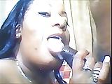 14P Photo's from my last two videos