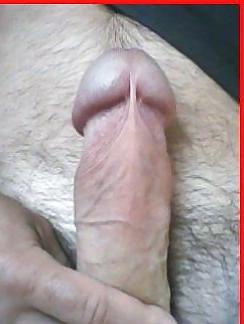 11P Dddr 