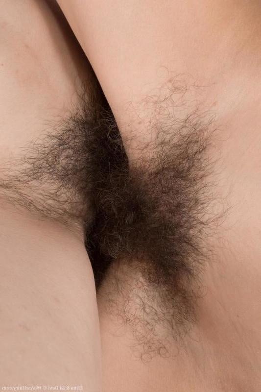 14P Lesbian Hairy Pussy Loving