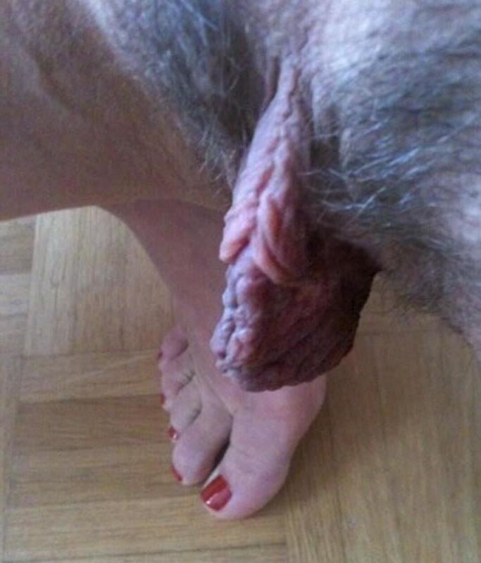 18P all hotties for sex with you