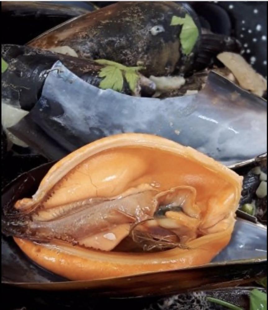 11P Enquete sur les moules