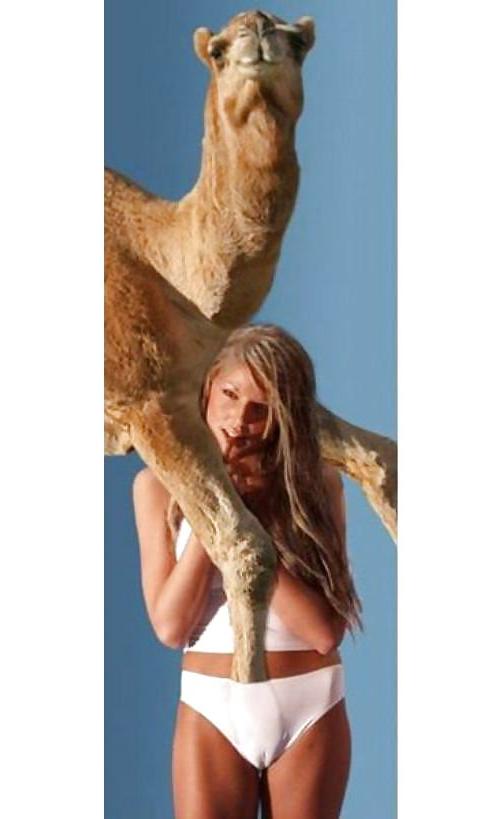 25P Best cameltoe pics