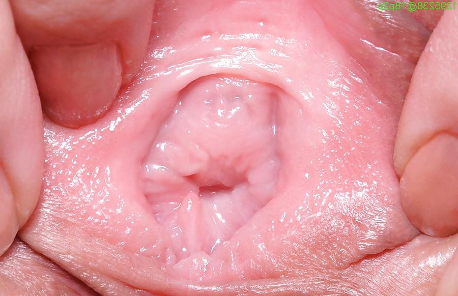 18P The Beauty of Amateur Teen Pussy