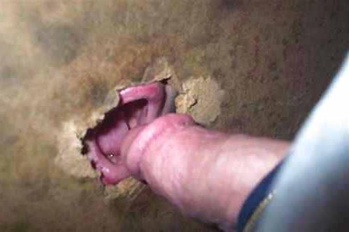 18P Sissy Glory hole adult theater slut #1
