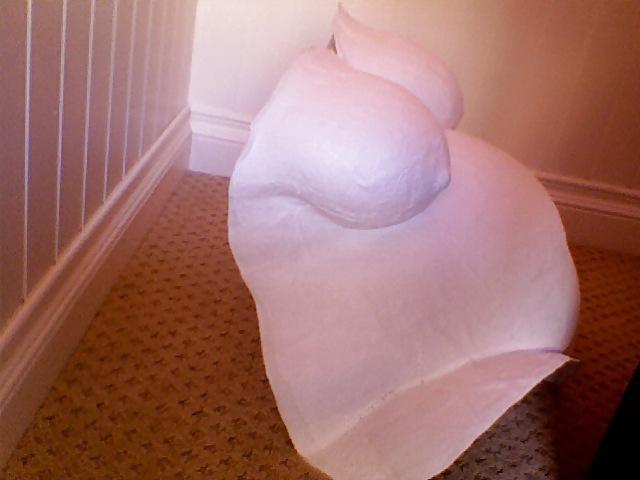12P Pregnant lauren cast