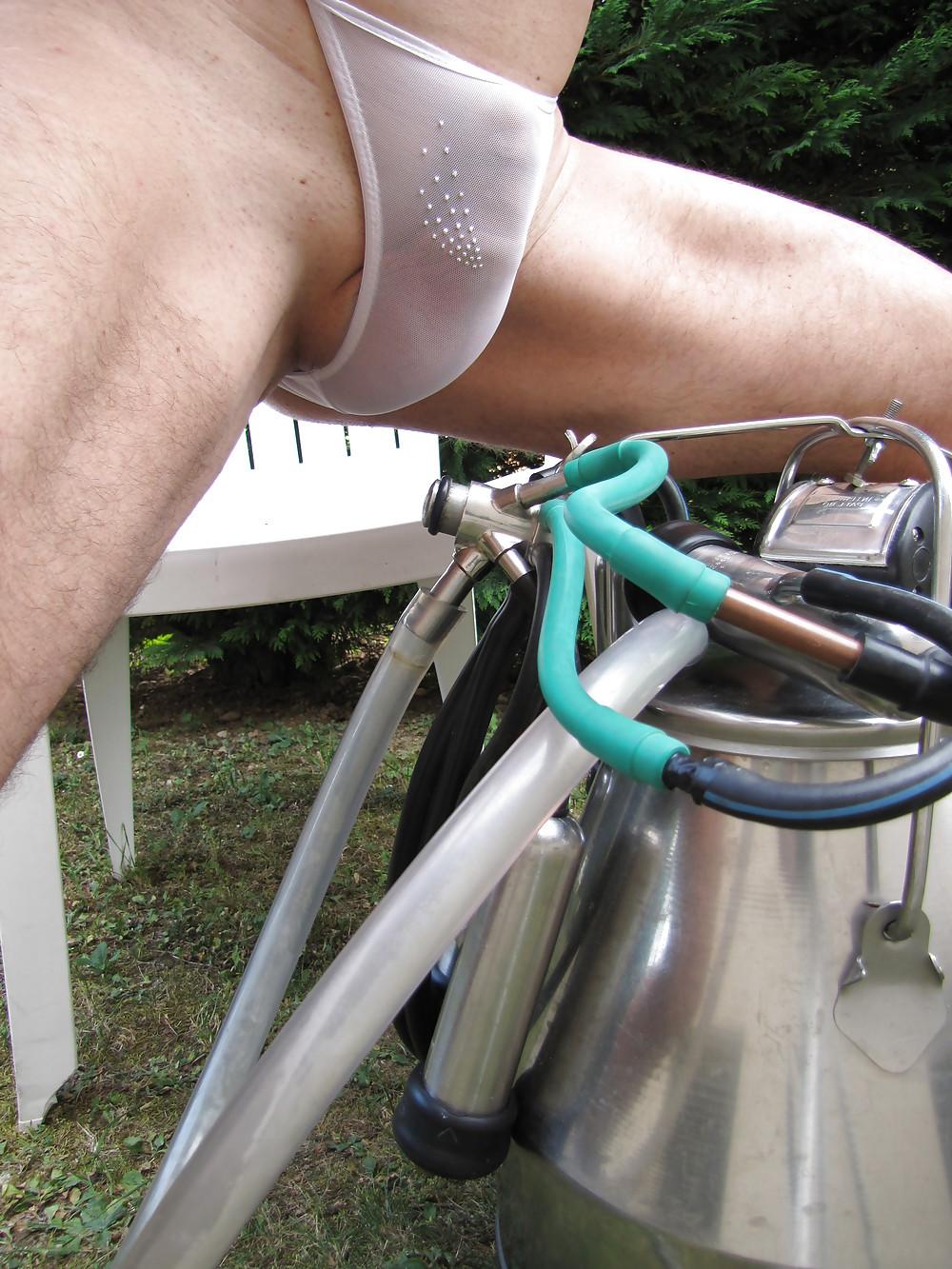 10P Penis milking cow machine
