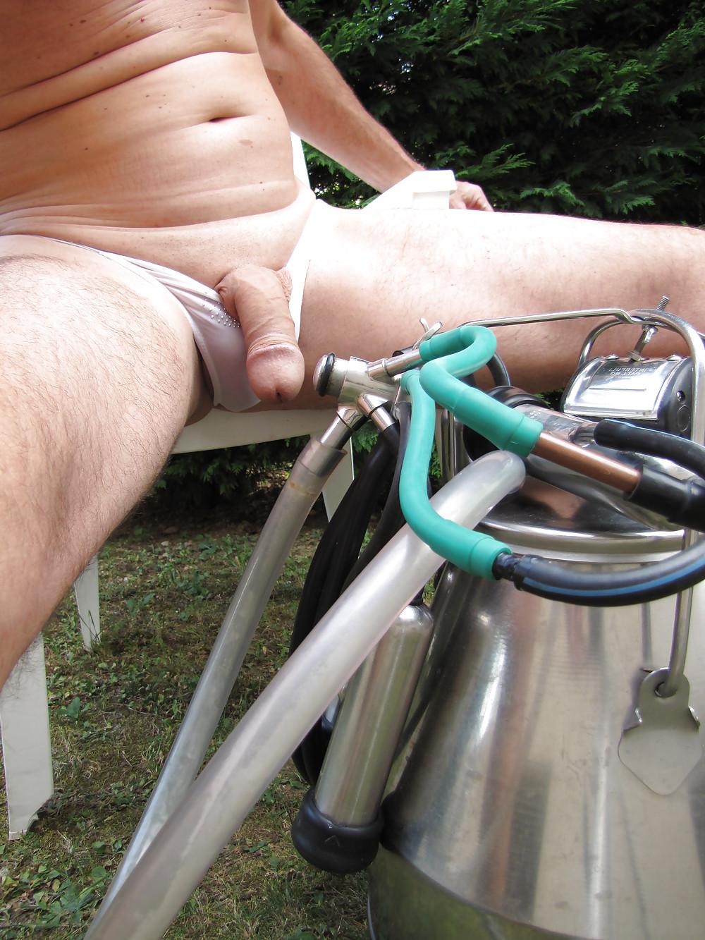 10P Penis milking cow machine