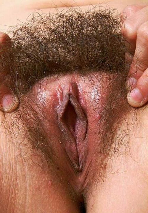 20P Hairy Amateur Teen Poser