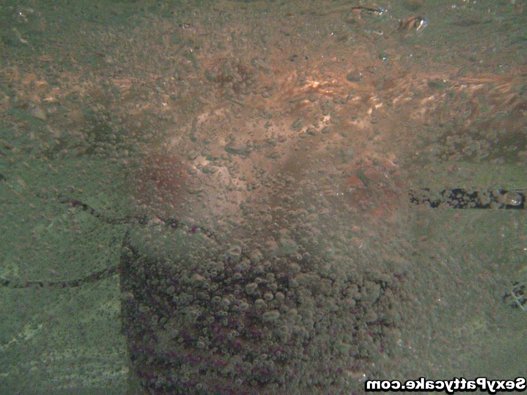 16P Big boob blonde teen Patty naked underwater