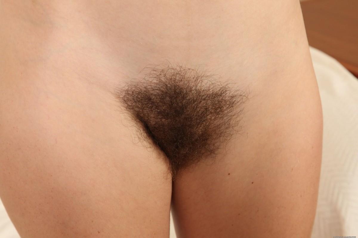 15P Hirsute amateur teen spreading hairy pussy