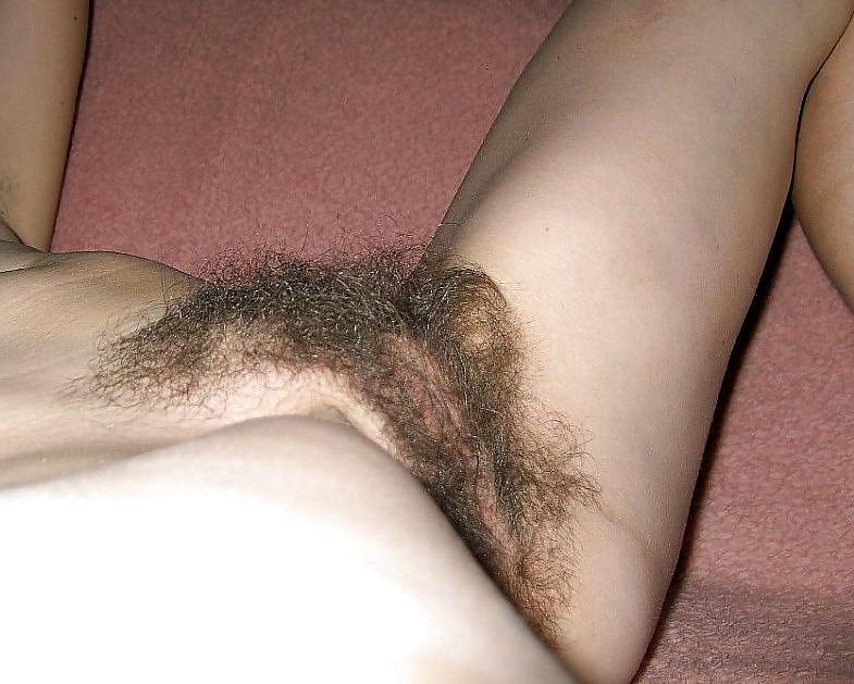 15P amateur hairy pics