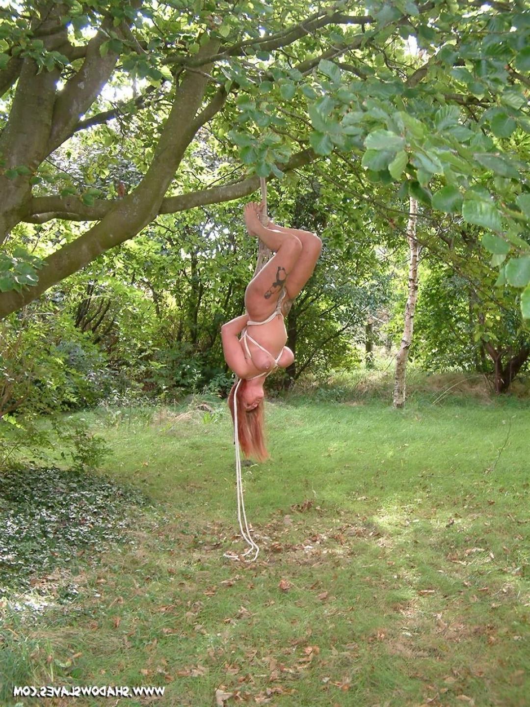 16P Amateur MiLF is bound and suspended from a tree