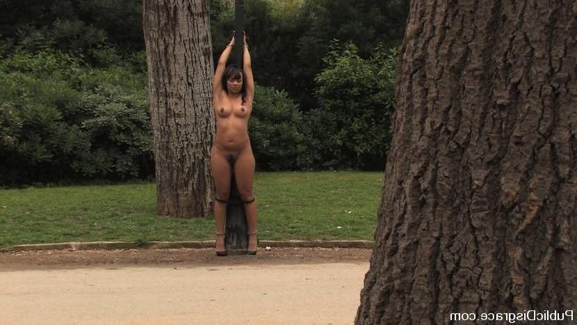 15P Exotic lady experienced in bondage and having sex in public