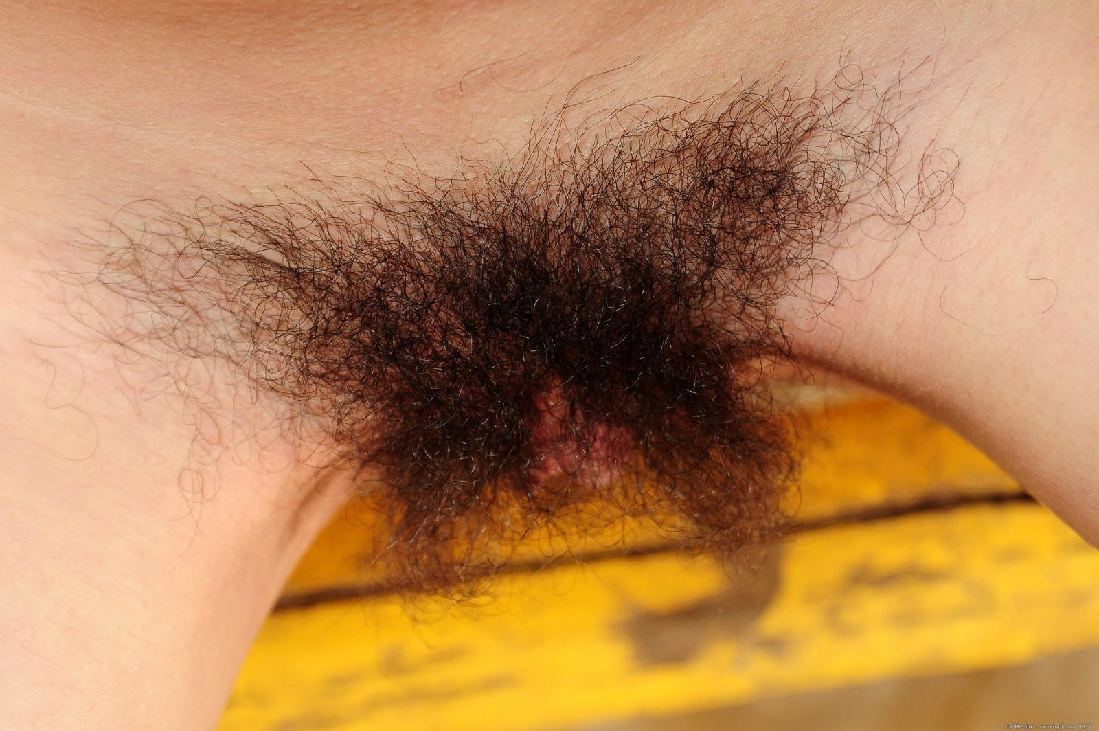 15P Hairy skinny amateur teen Gala spreading