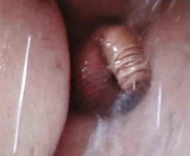 4P WET COCK GAY