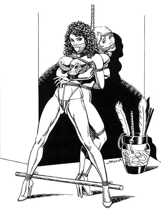 20P Bondage Toons - Vol. 4