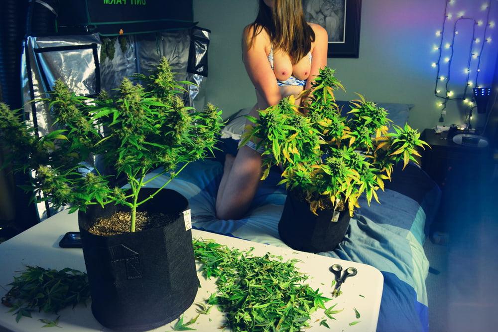 25P 420 pics - A girl and her garden