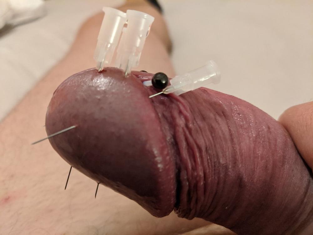 9P Cock Head Piercing Needle Fetish CBT