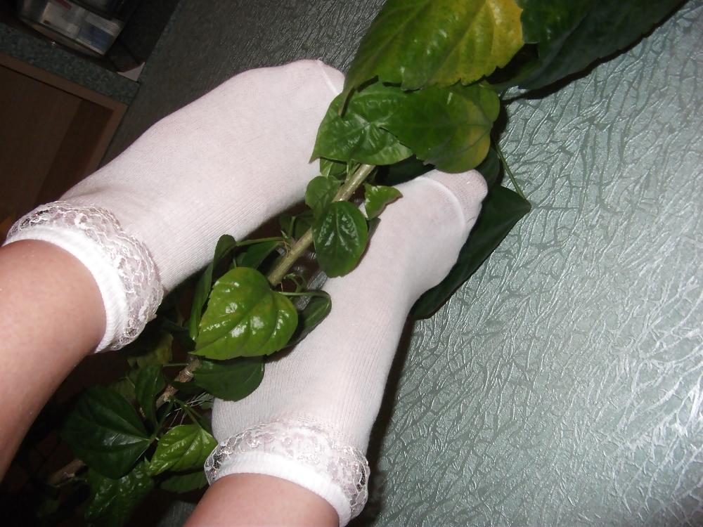 16P Ankle socks 