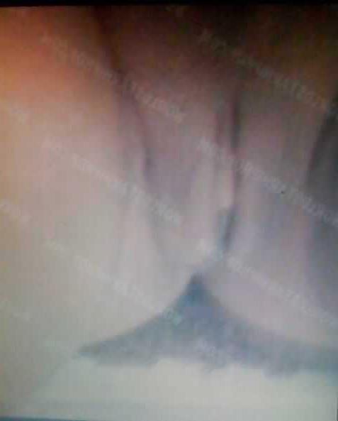 4P Trinas alias The Dimaond Princess hat Handybilder durchgesickert