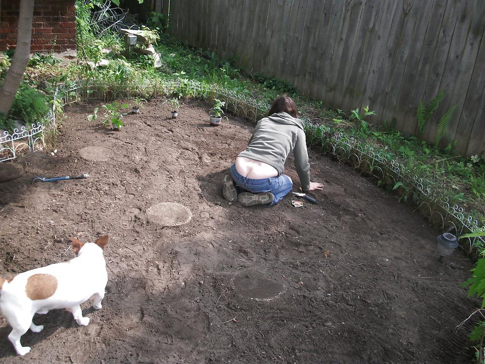 11P The garden