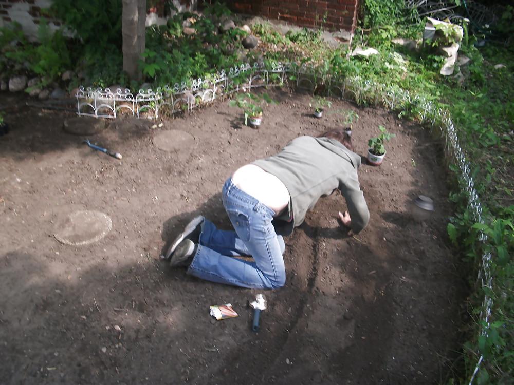 11P The garden