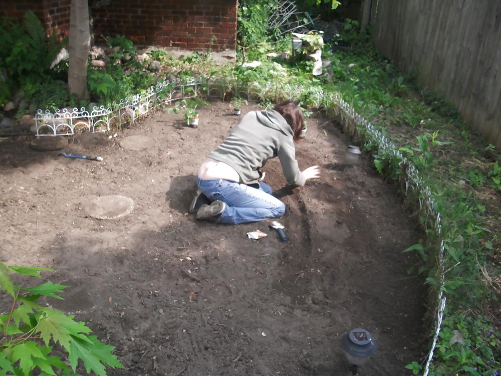 11P The garden