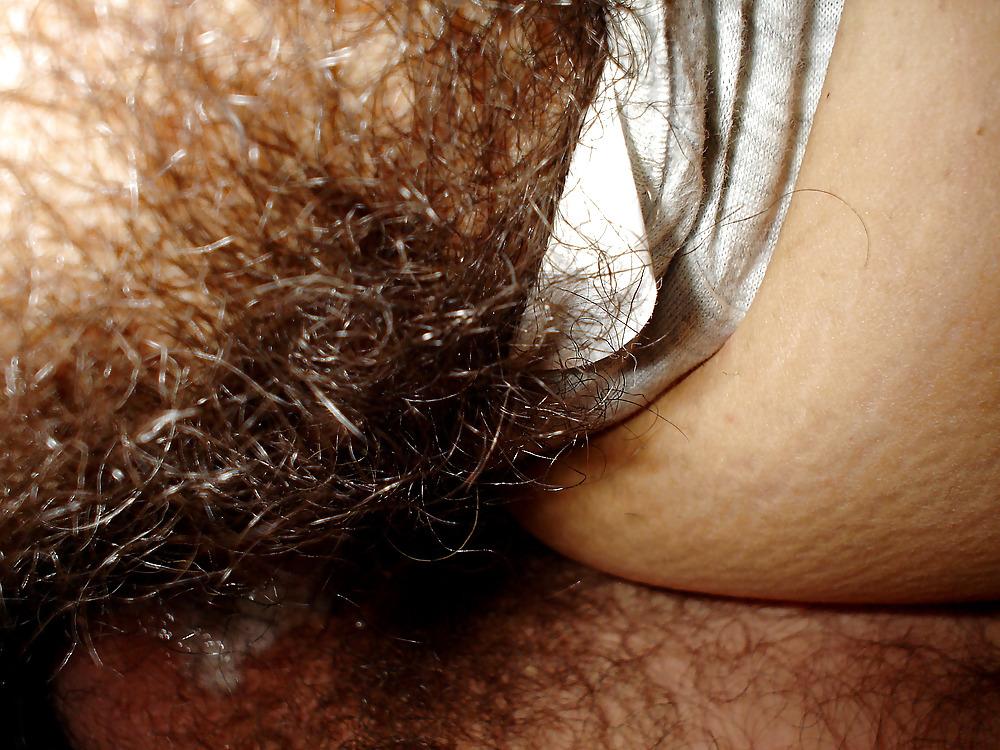 14P My Hairy Amateur Wife