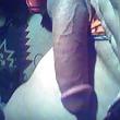 5P BLACK MALE LOOKING