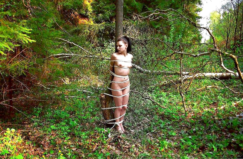 19P Bondage Forest und mehr.