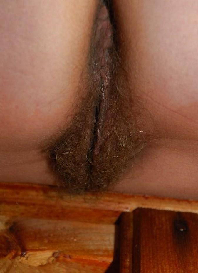 25P American hairy mature 