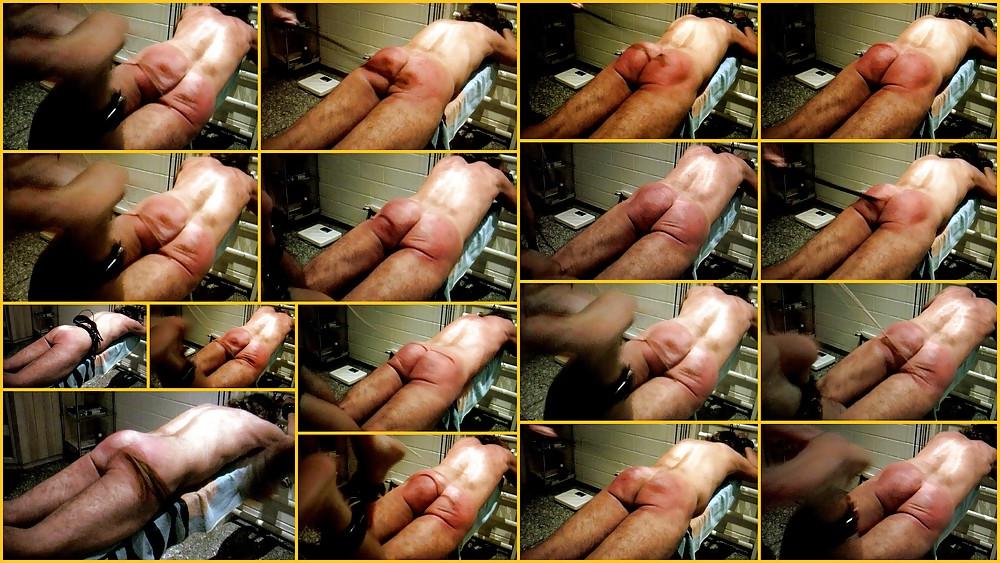 25P GAY SM Collagen