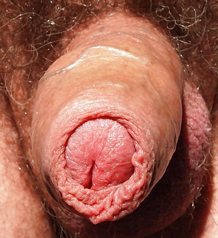 16P Floppy close ups